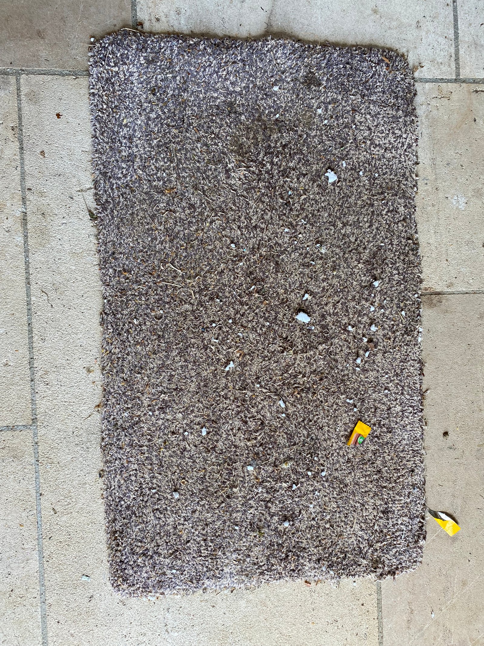 Moquette nettoyée en profondeur